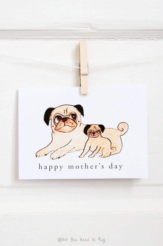 Pug Mother's Day Card - All You Need Is Pug